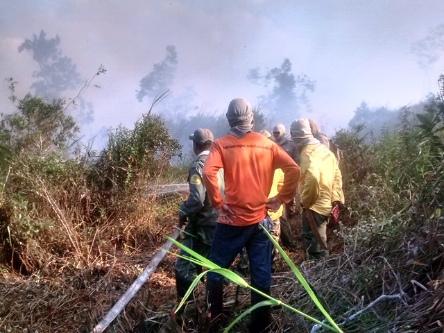 Bombeiros e trabalhadores combatem o fogo na Reserva Biológica de Sooterama, no Norte do Espírito Santo
