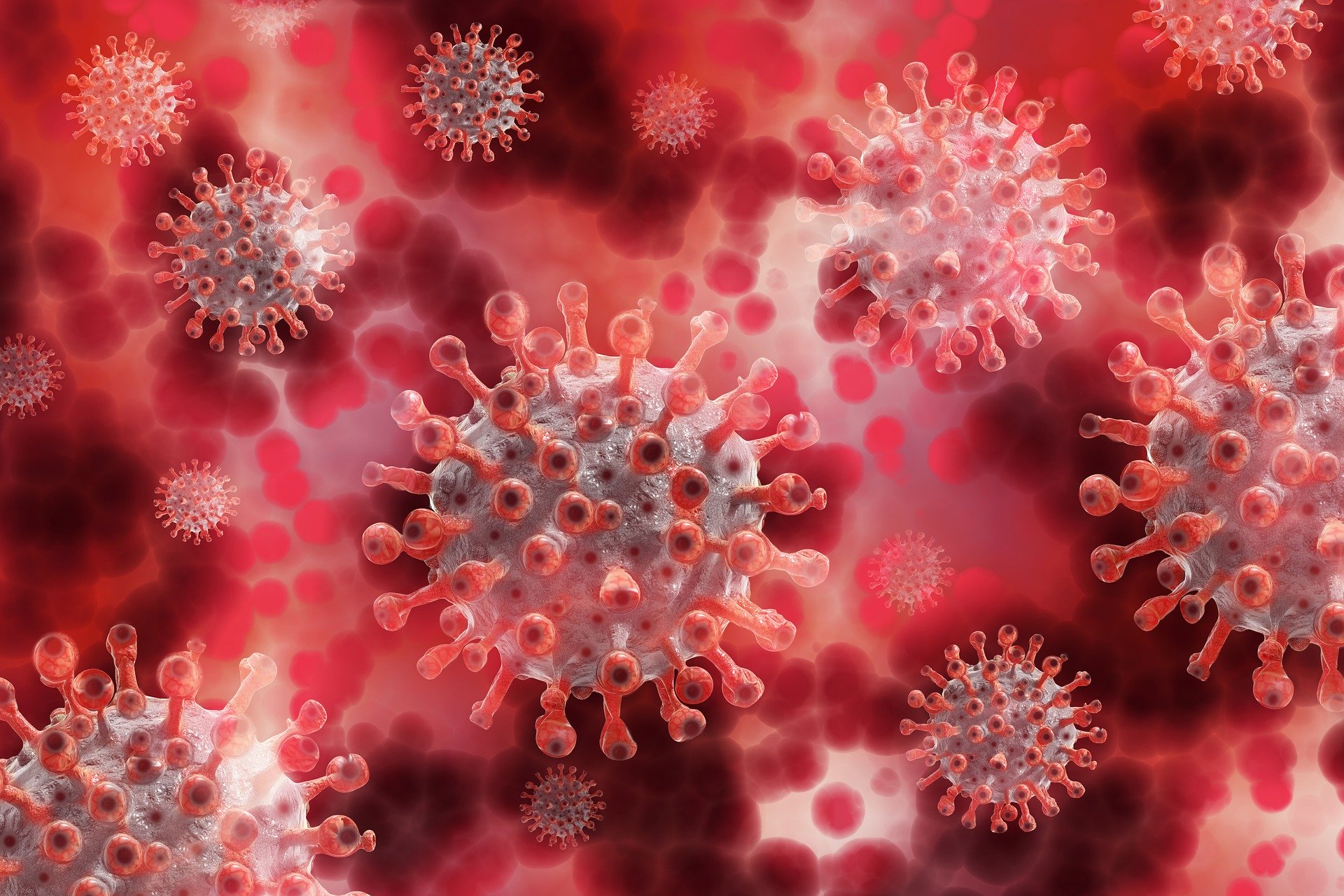 Estudo aponta a circulação do novo coronavírus por até 4 semanas sem ser detectado