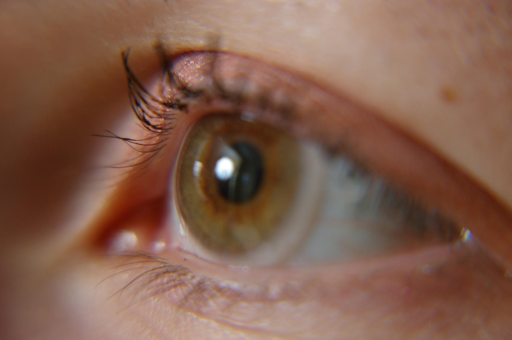 Close de olho aberto, de retina da cor verde