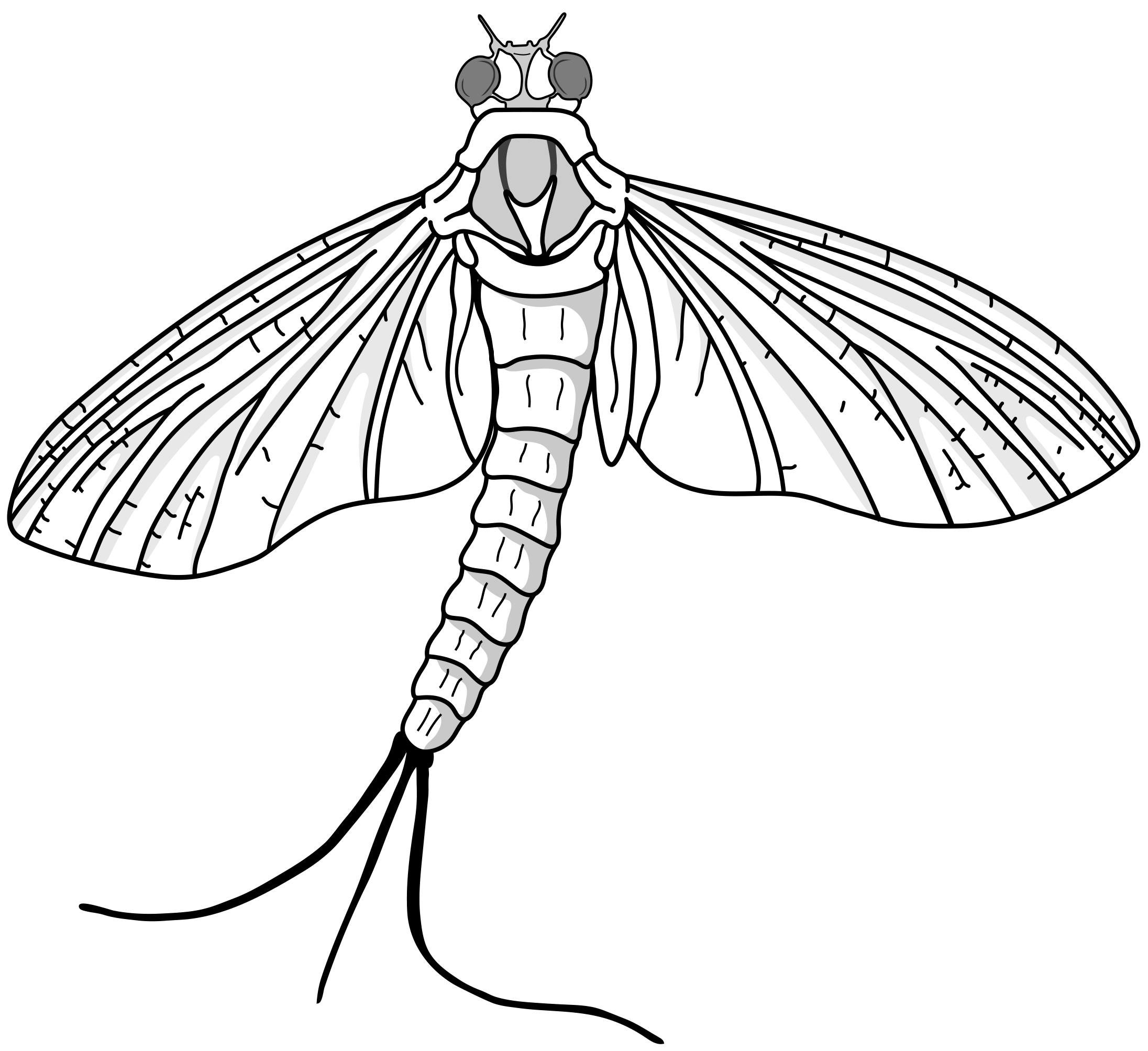 insectossauro - Desenho de eusoulapislazuli - Gartic