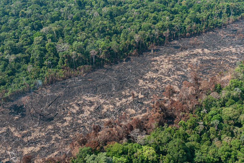 Incêndio atingiu a Floresta Amazônica, no estado de Rondônia, em 2019