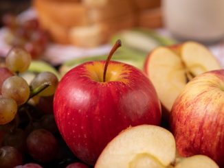 Estudo inédito da Ufes investiga compostos naturais que podem retardar o envelhecimento da pele